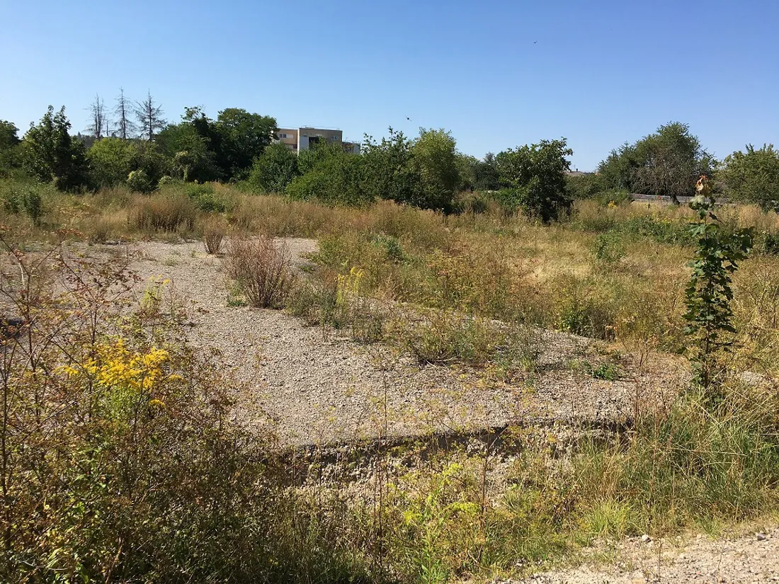 C'est sur ce terrain que l'association propose d'installer le futur grand parc urbain de Dijon 